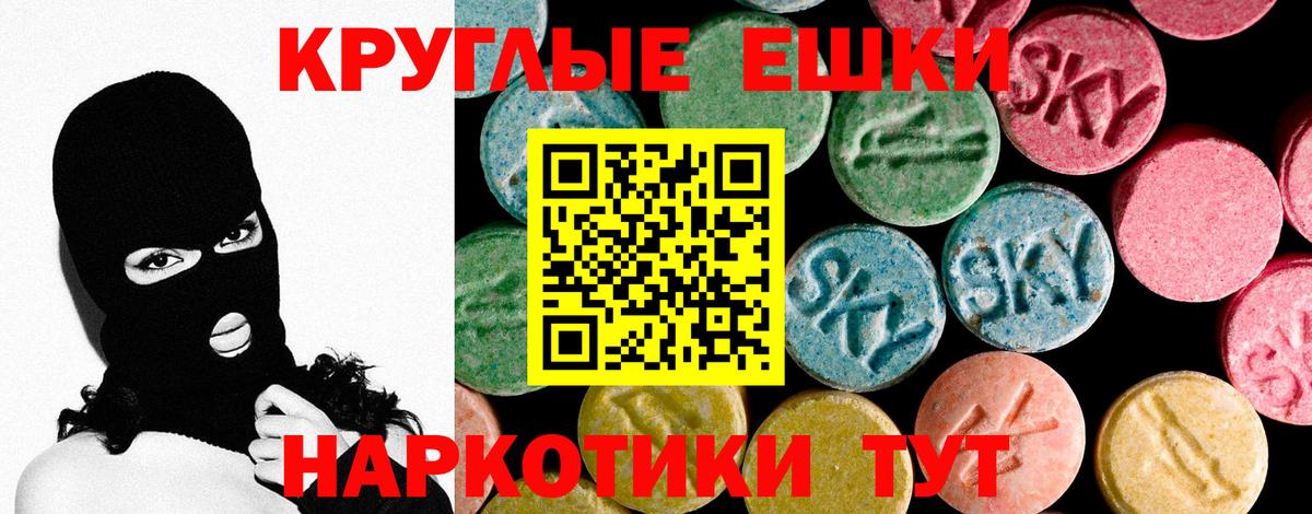 Ecstasy Philipp Plein  Вход с VPN  Каспийск 